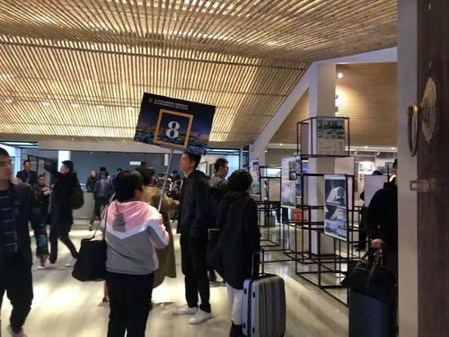 文投會務丨2019年度全國建筑設計創新創優大會暨全國優秀建筑設計展示交流會后勤保障工作圓滿完成