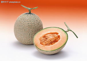 夏日的黃金饋贈(zèng) 探索切開的哈密瓜的獨(dú)特魅力